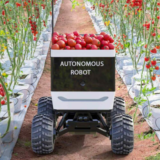 inner_link_image_02 https://zone-seo.com/wp-content/uploads/2023/12/inner_link_image_02-640x640.jpg